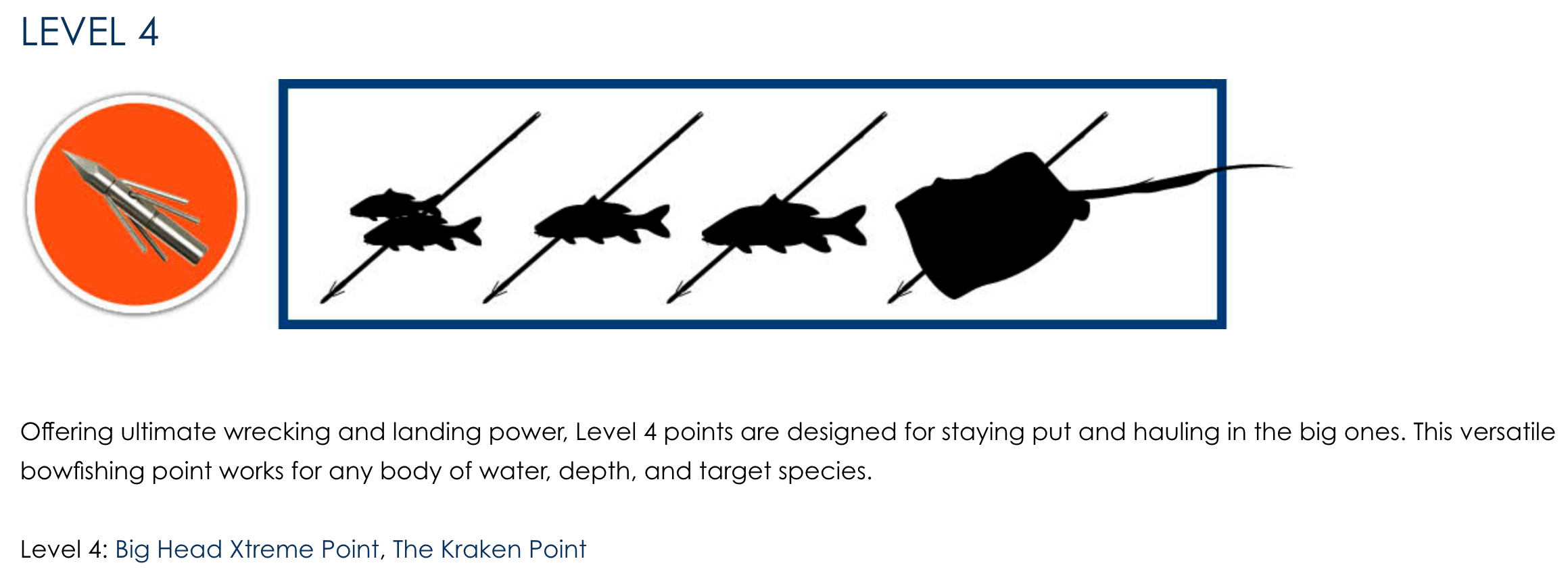 How to Choose the Right Bowfishing Point